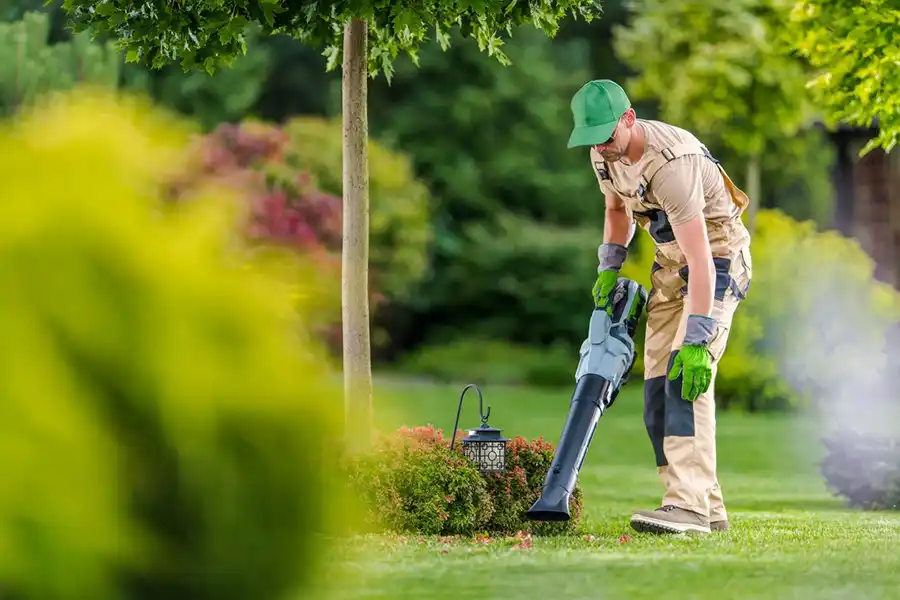 Landscaping and Yard Cleanup Services