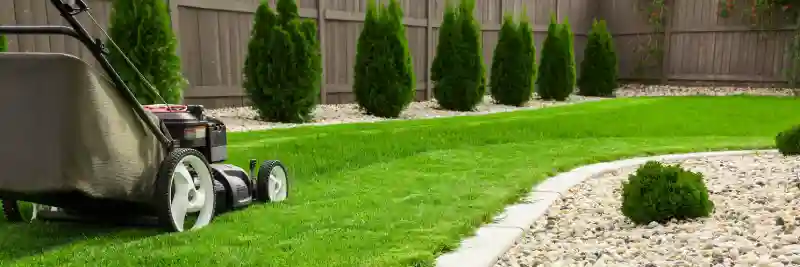 Outstanding Lawn Mowing Services in Longmont, CO 