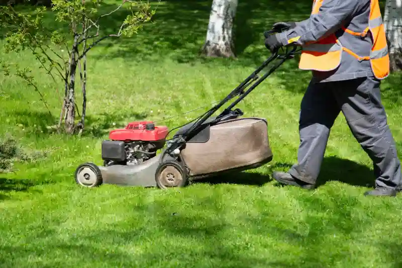 Reliable Lawn Mowing Services in Longmont, CO 