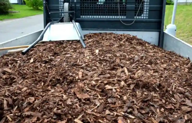 Reliable Mulching Service in Longmont, CO 