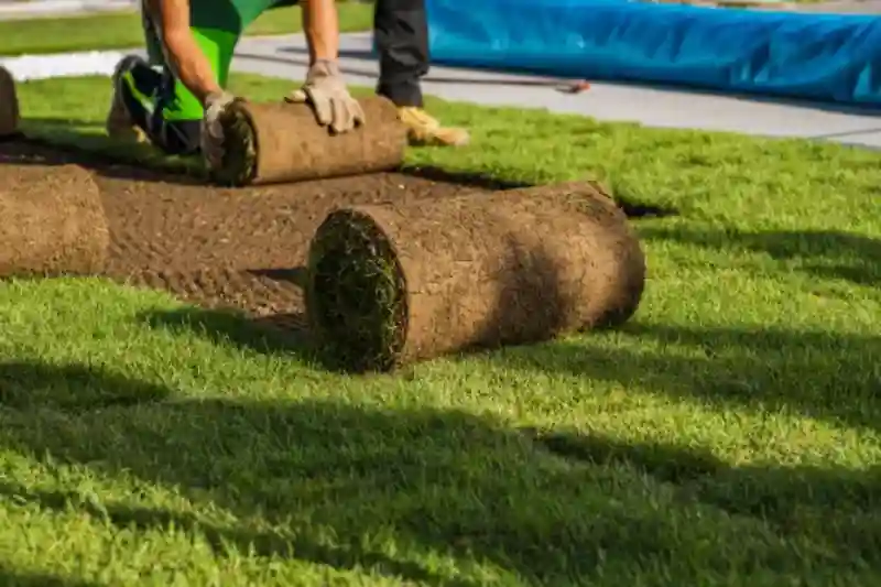 Reliable Sod Installation Service in Longmont, CO 