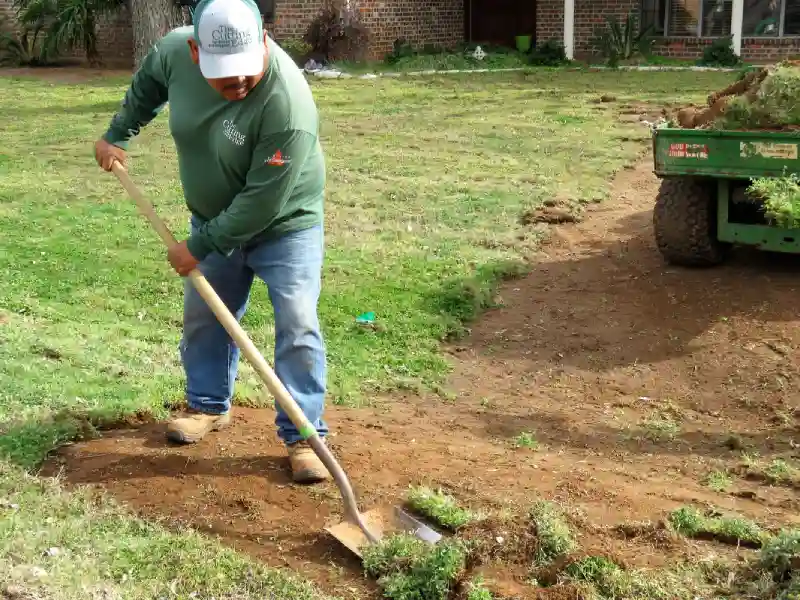 Professional Sod Installation Service in Longmont, CO 