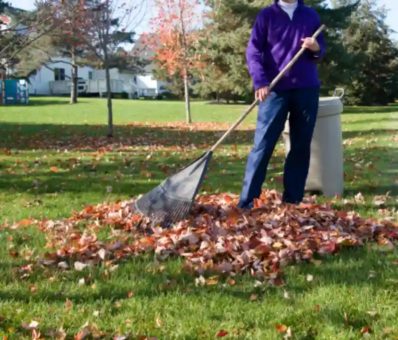 Outstanding Yard cleanup Service in Longmont, CO 