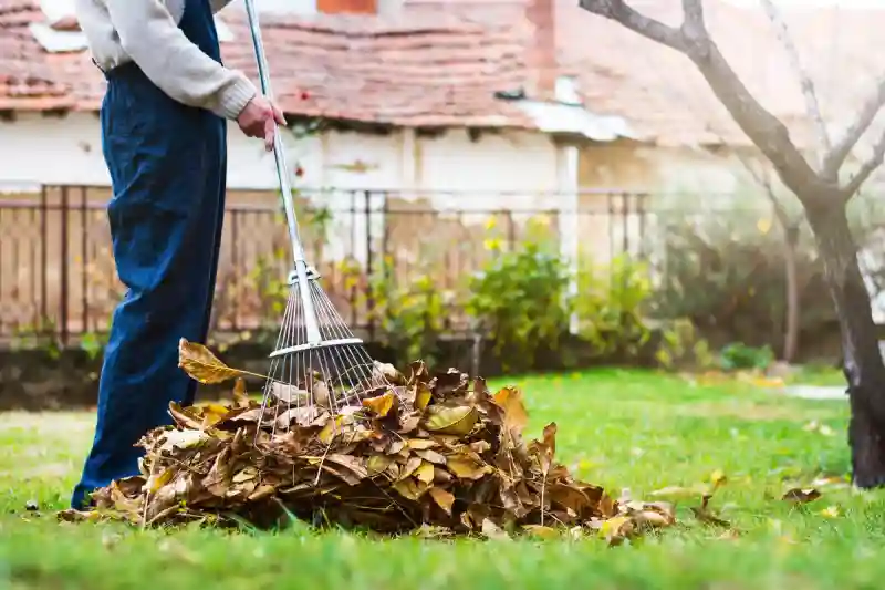 Professional Yard cleanup Service in Longmont, CO 